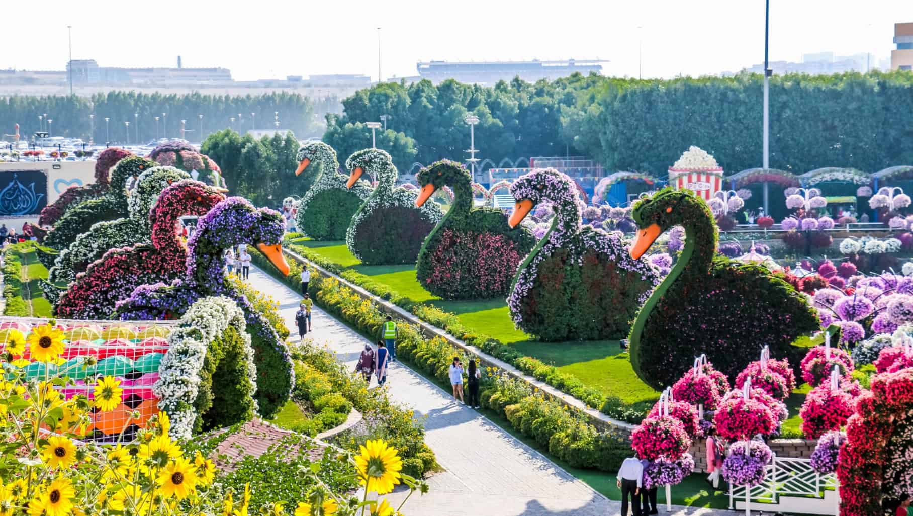 גן הפרחים בדובאי 🌸 נס באמצע המדבר חוויה מדהימה! DUBAI